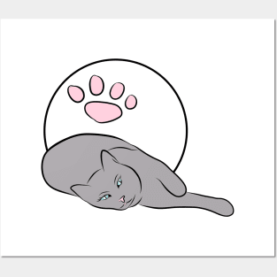 Paw of a cat Posters and Art